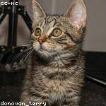 Kadiatou Morales Profile Picture