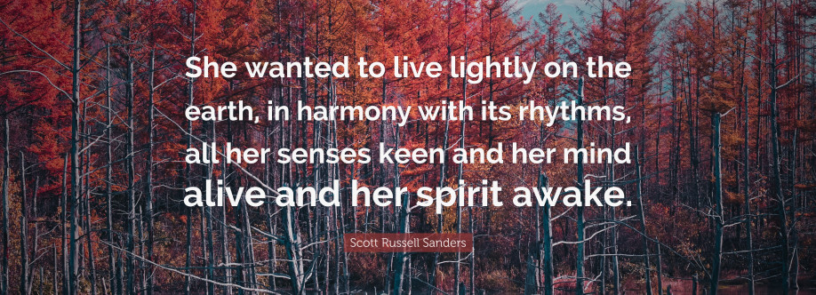 Rwiza Sanders Cover Image