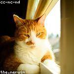 Edith Collins Profile Picture